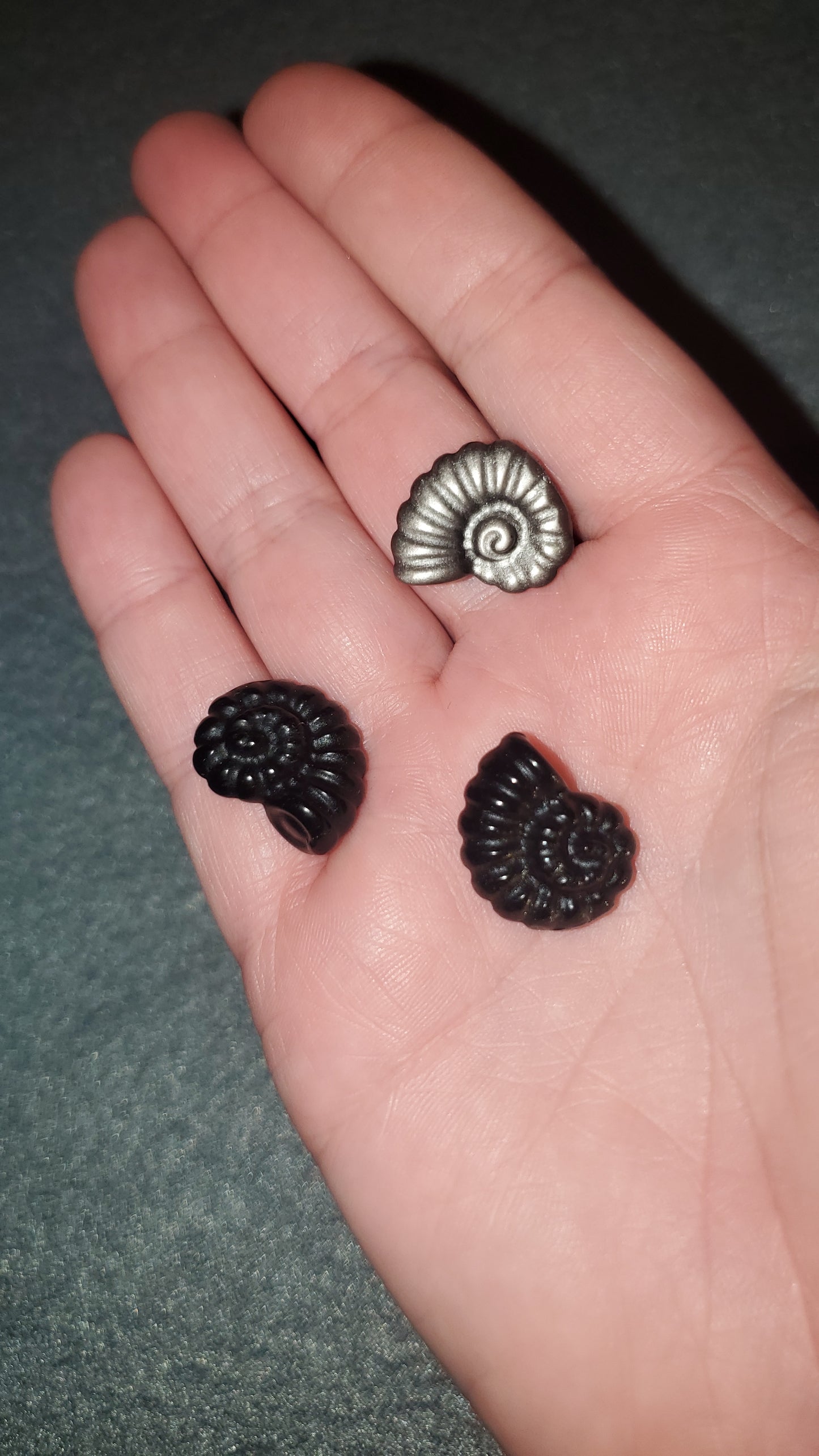 Mini Ammonite