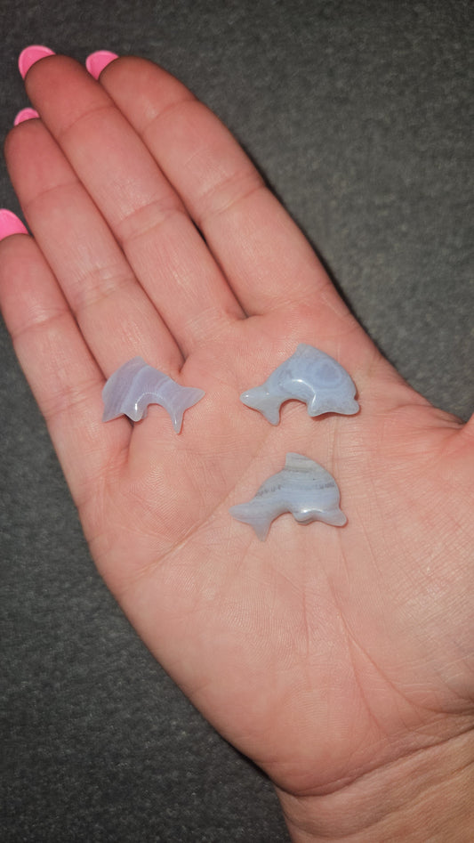 Blue Lace Agate Mini Dolphins