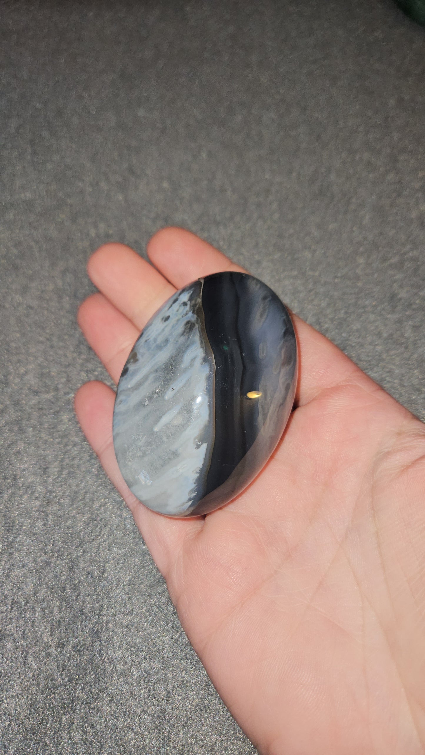 Volcanic Agate Palm Stone