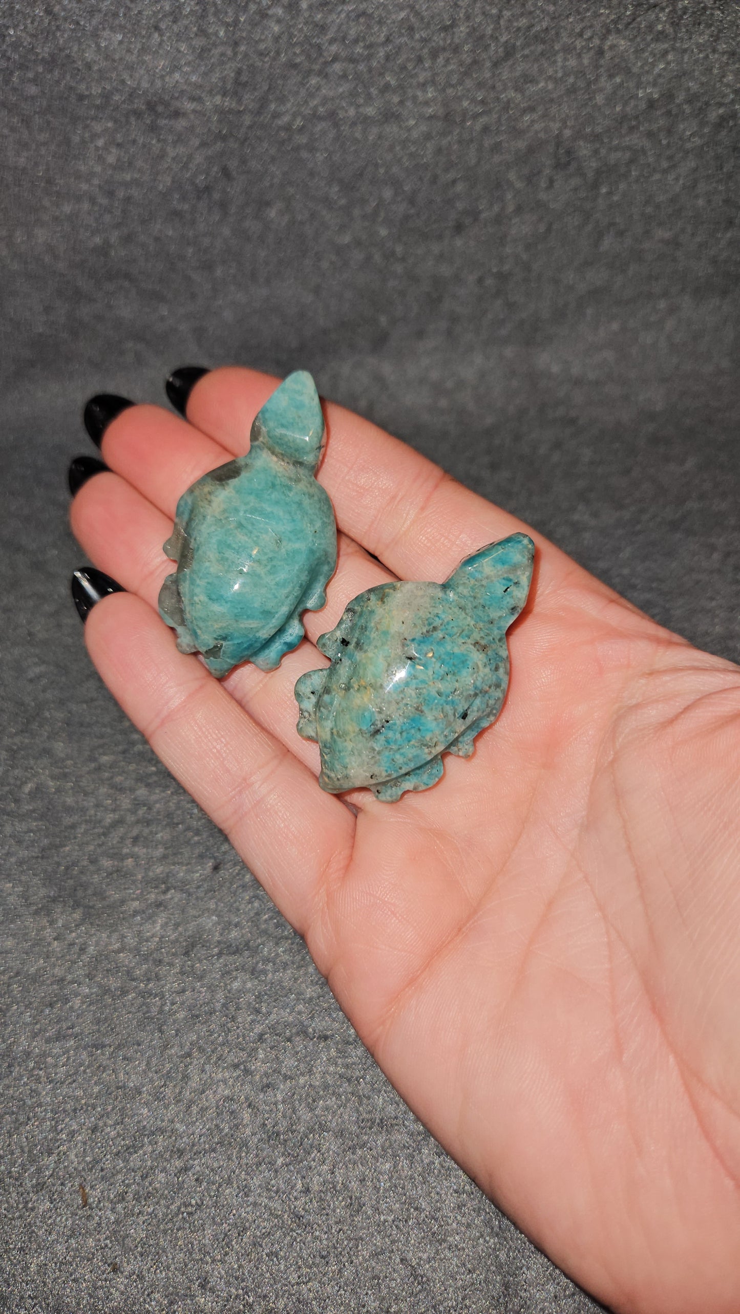 Amazonite Turtle