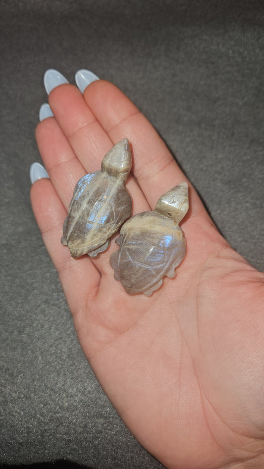 Moonstone Turtle