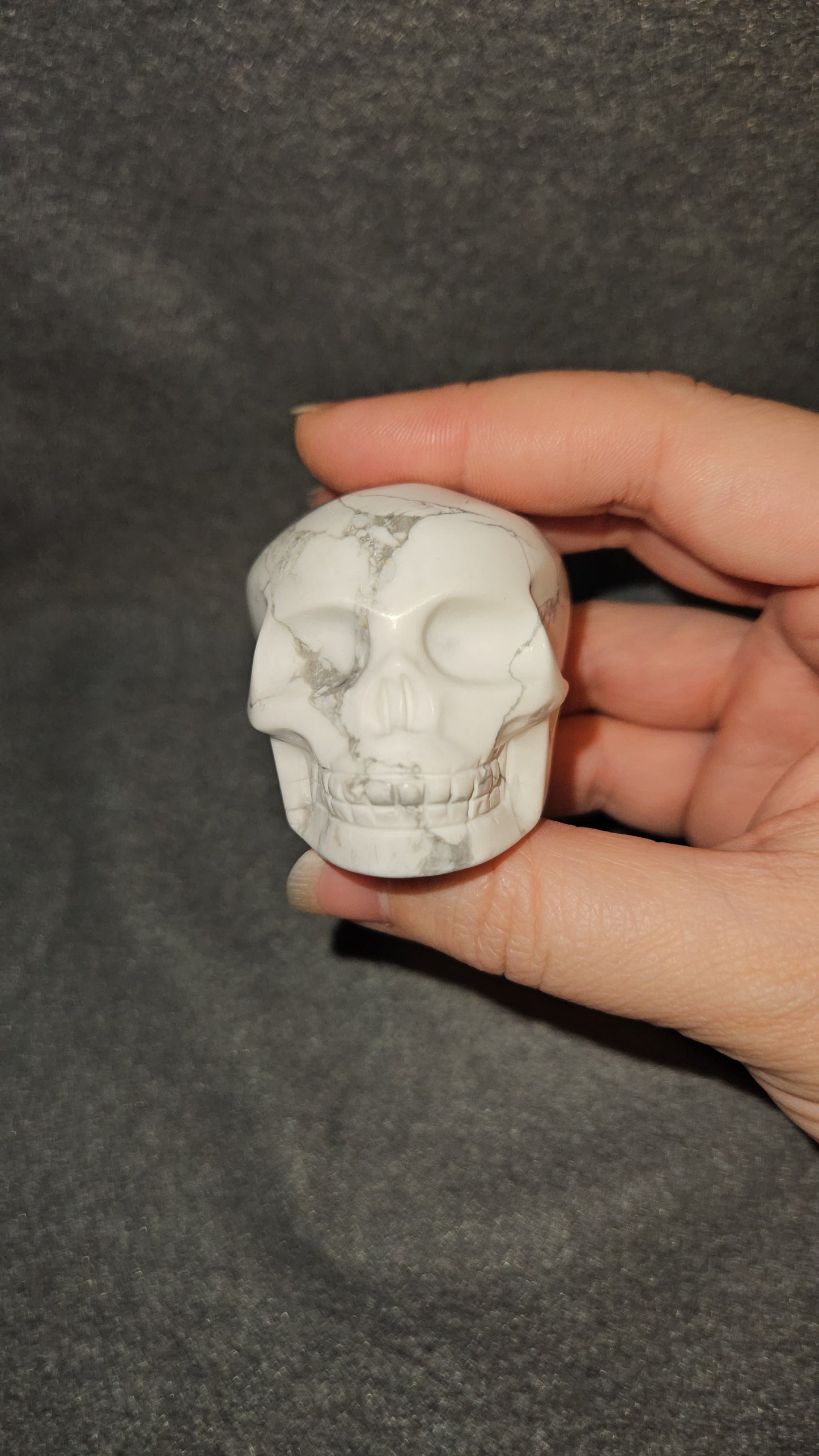 Howlite Skull