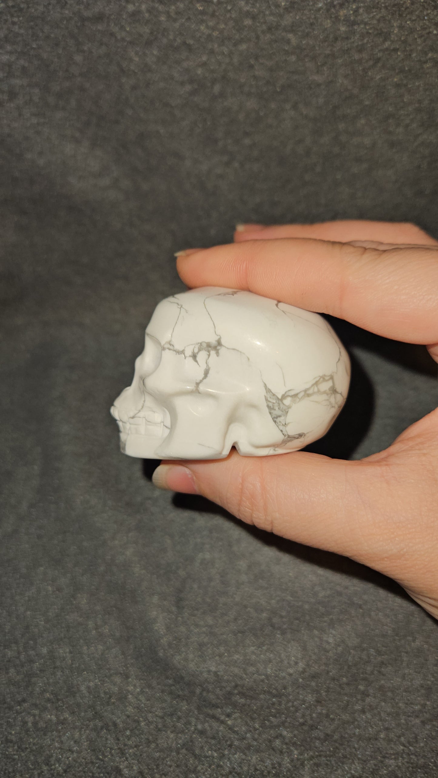 Howlite Skull