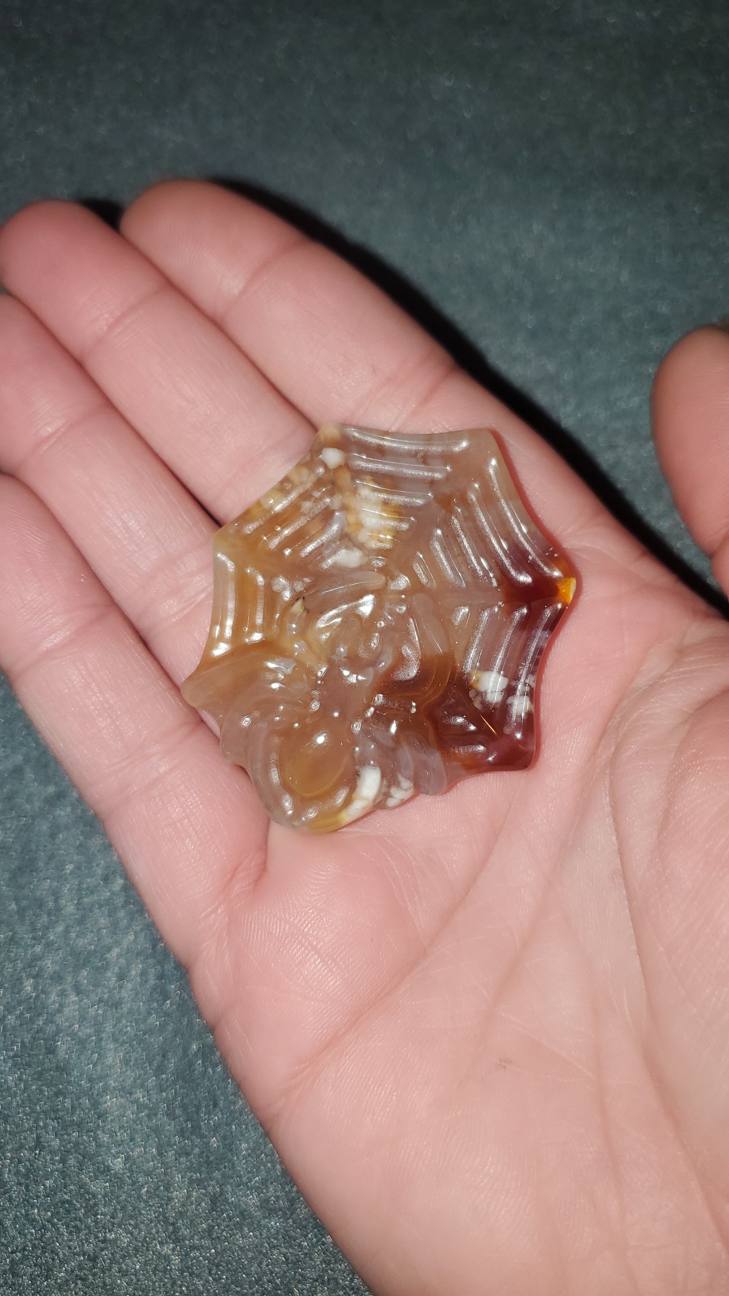 Flower Agate Spider in Web